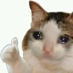 Sad Cat logo