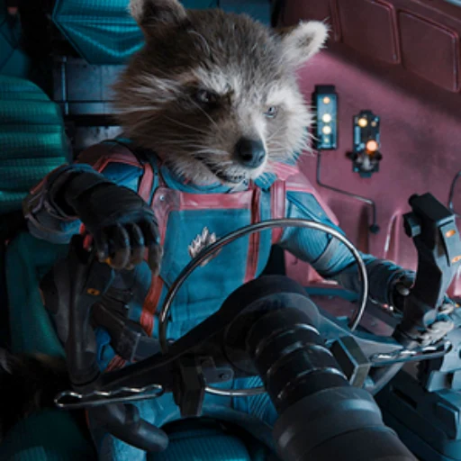 Rocket The Racoon logo