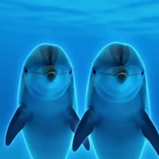 Dolphin Intelligence logo