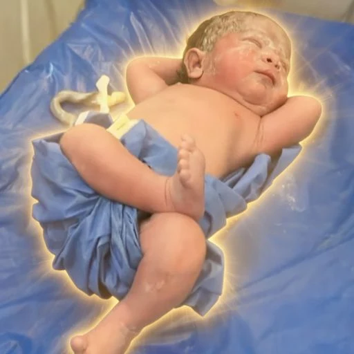 Baby King logo