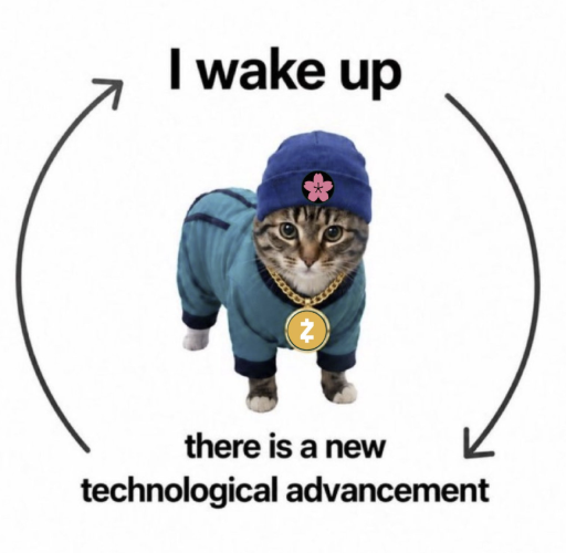 ZzCAT logo