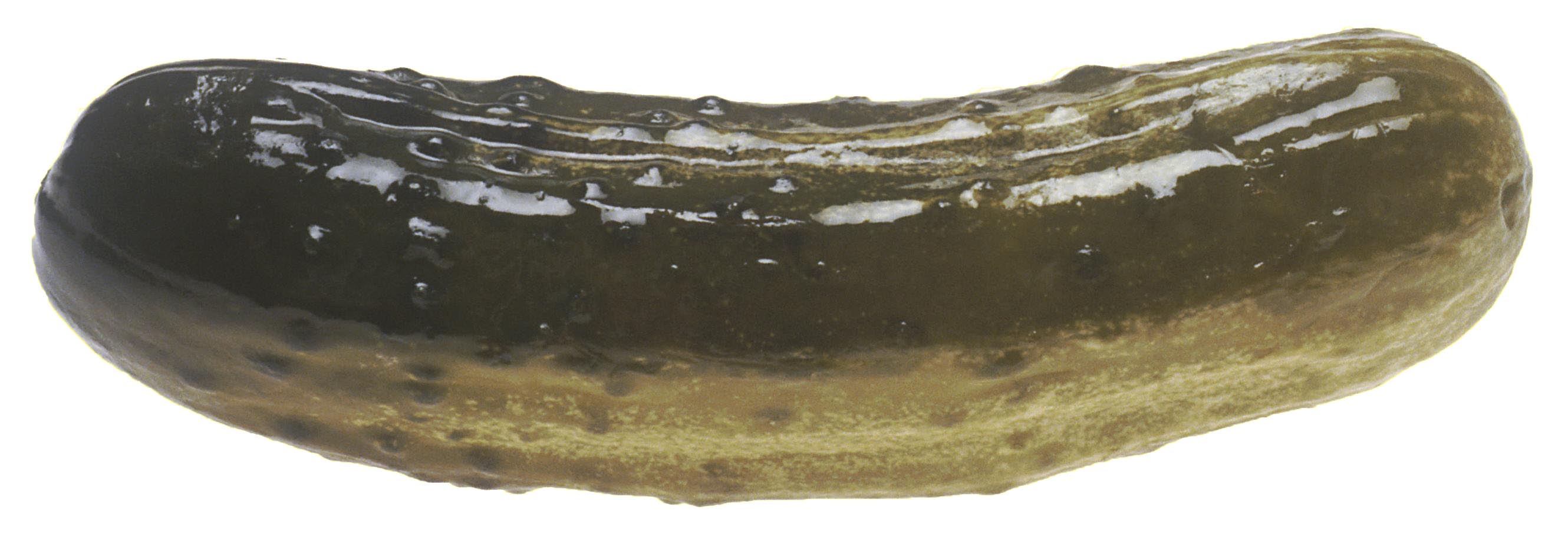 PICKLE logo