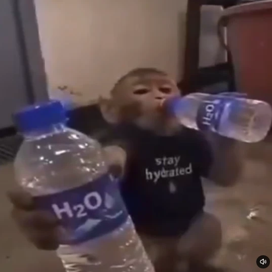 apewifH₂O logo
