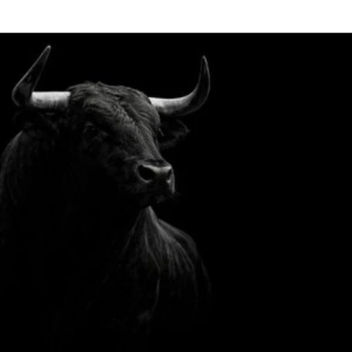 The Bull logo