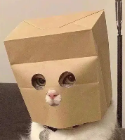 ComputeCat logo
