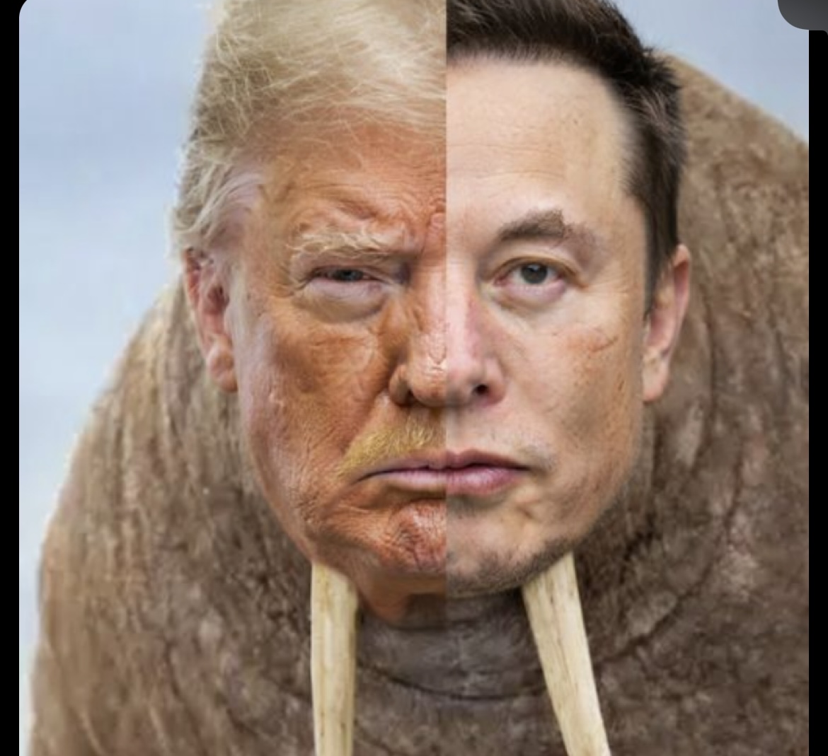 Donald tusk logo