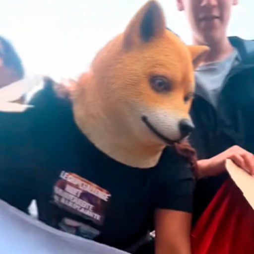France Doge logo