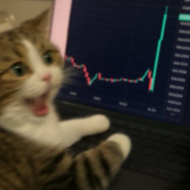 candle cat logo