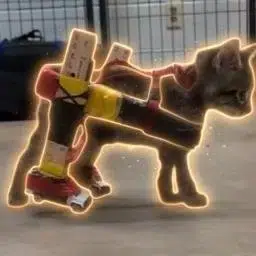 run it back turbo logo