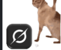 :bad-grok: logo