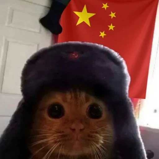 Communist Cat Party logo