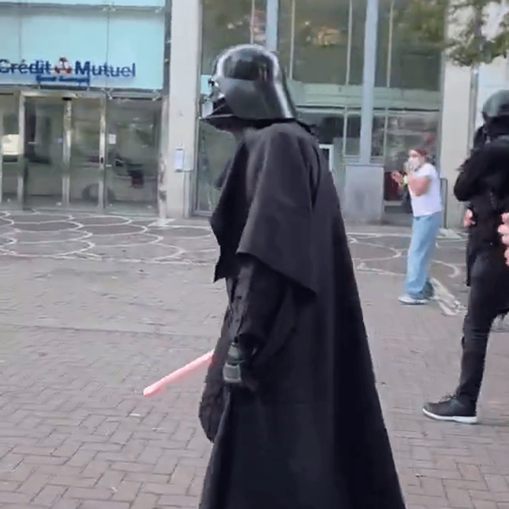 Le Vader logo