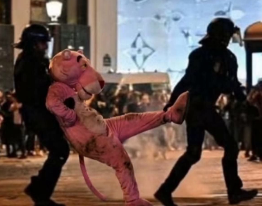 Pink Revolution logo