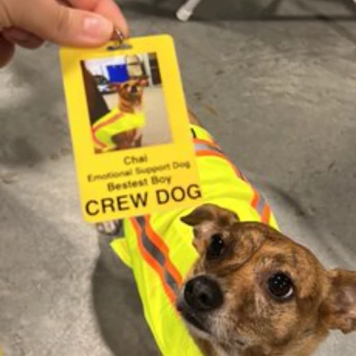 Emotional Support Dog logo