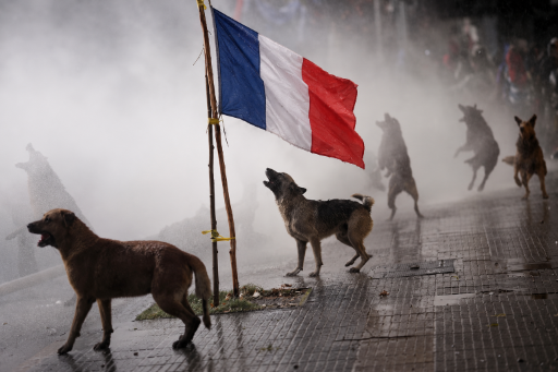 Dogs in franc logo