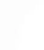 White Monday logo