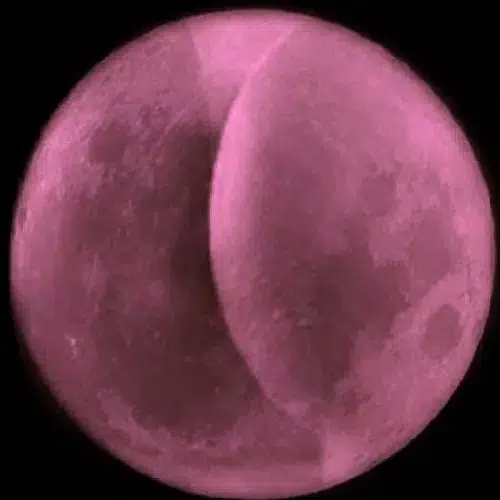 Always Sunny in Space logo