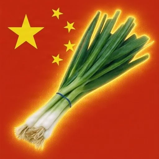 韭菜 logo
