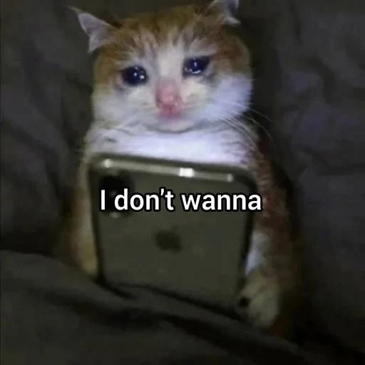 I don't wanna logo
