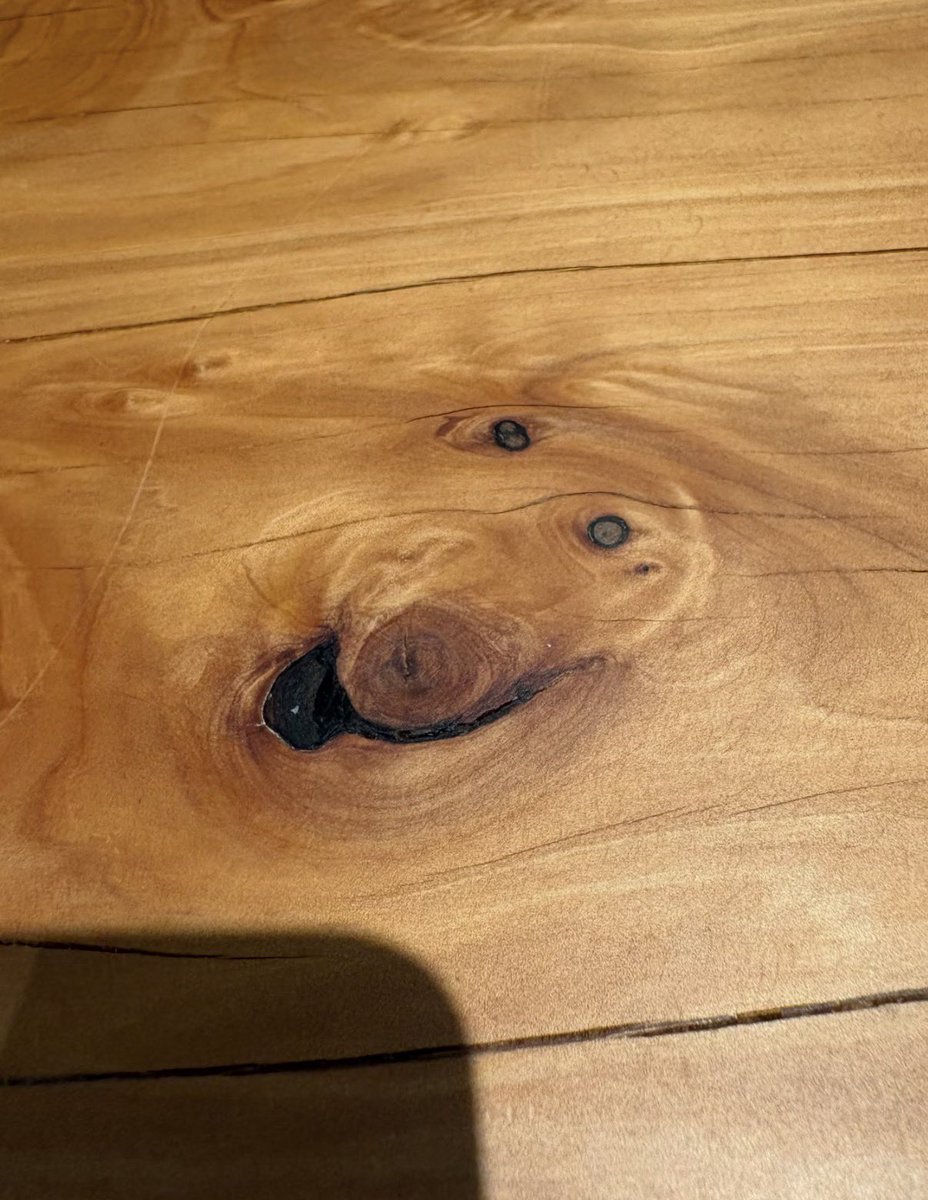 woodog logo