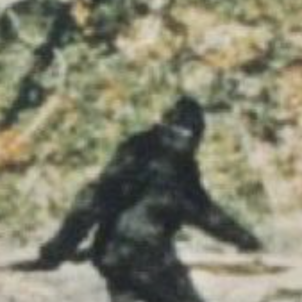 Bigfoot logo