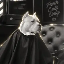 Client Dog logo