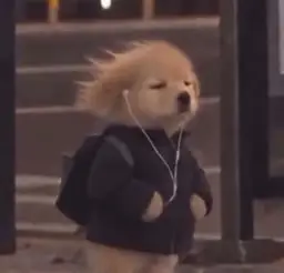 Dog In Pain logo