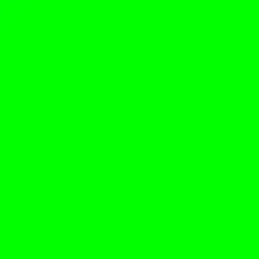 Green Monday logo