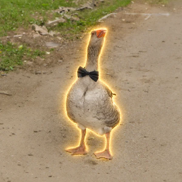 The Loyal Goose logo
