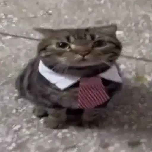 MarketCat logo