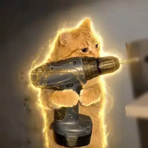 The Drill Cat logo