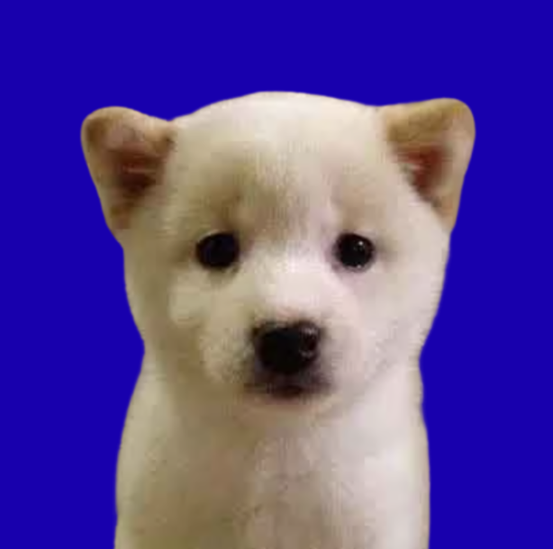 One Dog logo