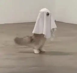The Boo Cat logo