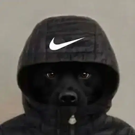 Flash Inu logo