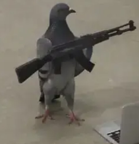 Pigeon wif gun logo
