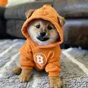 The bitcoin dog logo