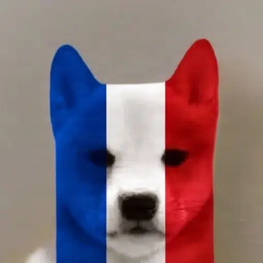 just a inu logo