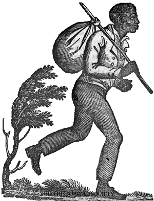 SLAVEVERS logo