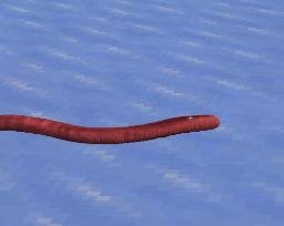 OpenWorm logo