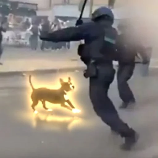 Riot Inu logo