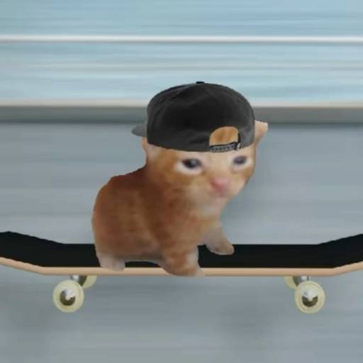 catonboard logo