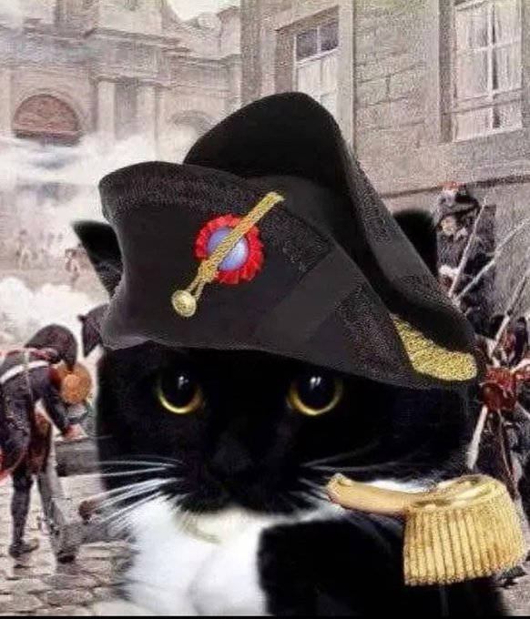 Meowlean  logo