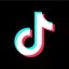 TikTok US logo