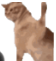 bad-grok logo