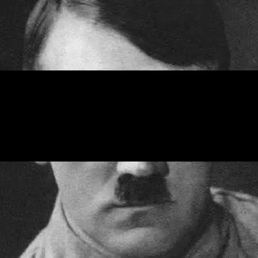 Adolf Hitler logo