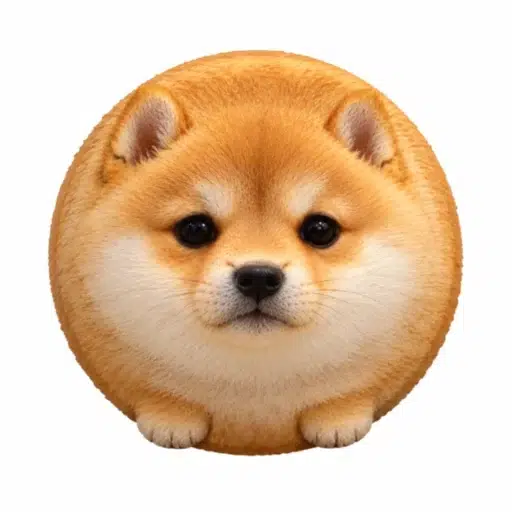 Koinu logo