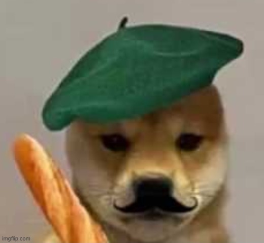 FRENCH DOGE logo