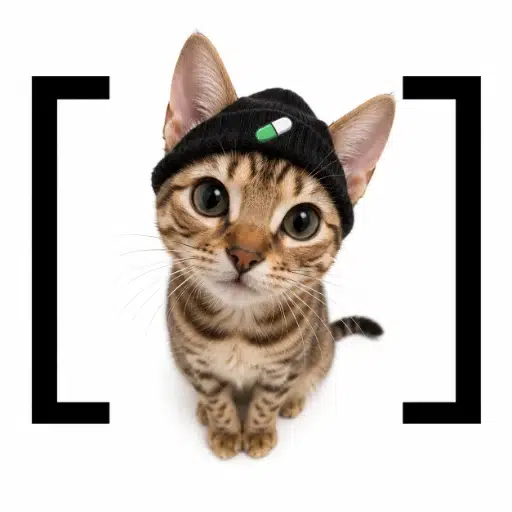 [BRACAT] logo