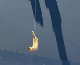 banana for scale logo