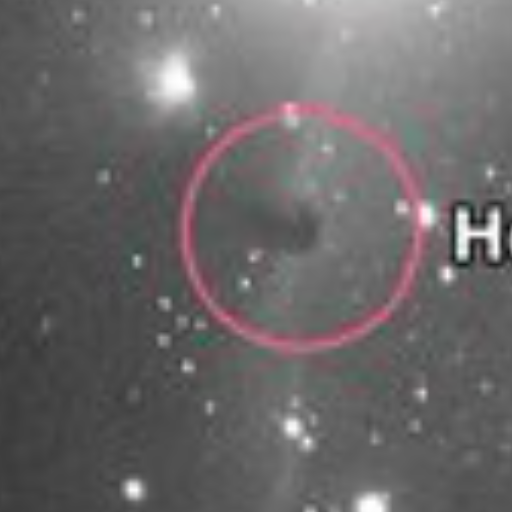 Horsehead Nebula logo